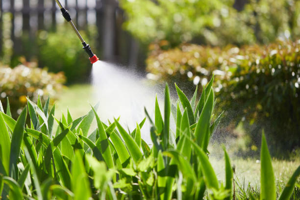 24/7 Emergency Mosquito Control experts in Owensville, IN